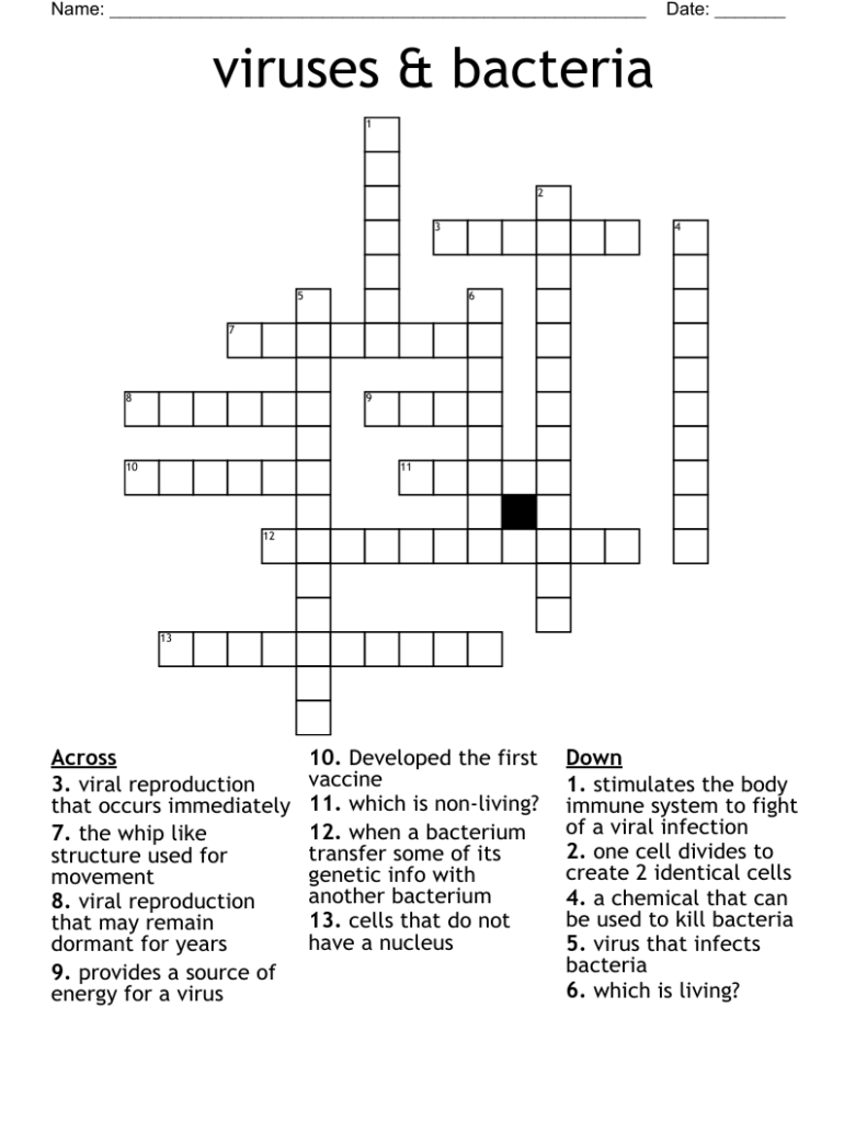 Viruses Bacteria Crossword WordMint