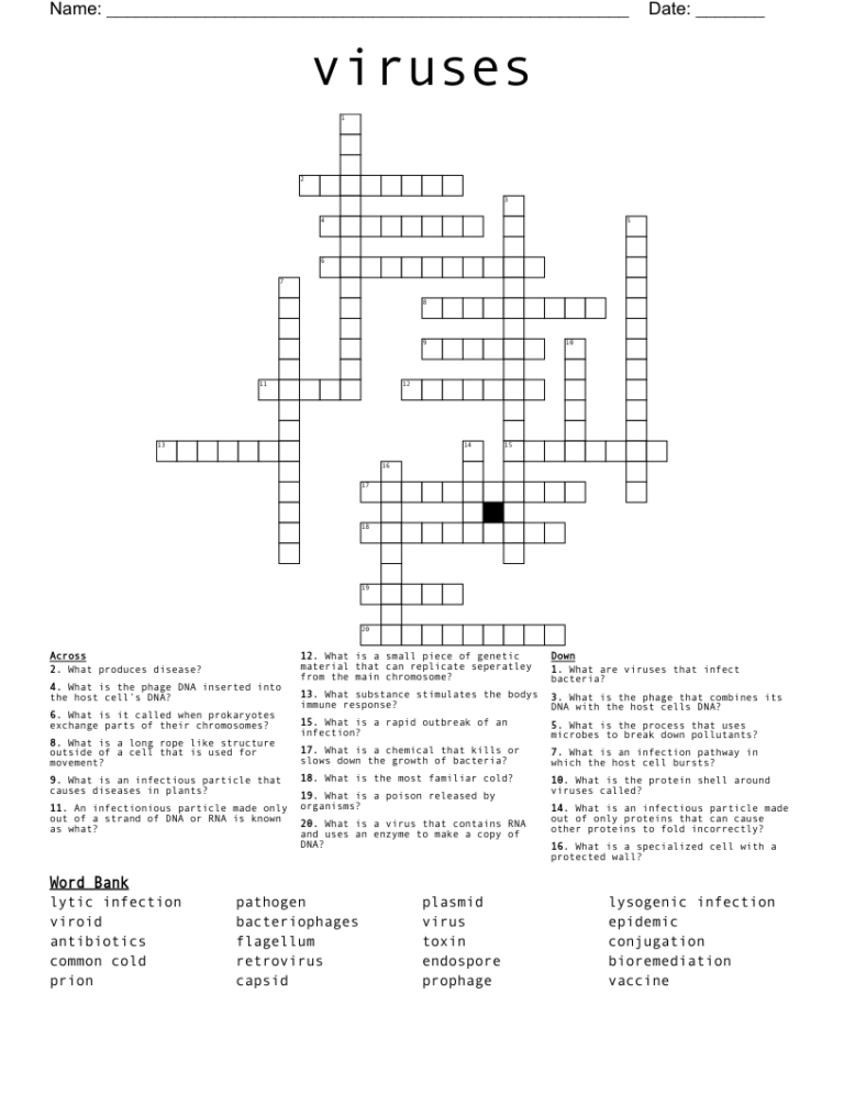 Viruses Crossword WordMint