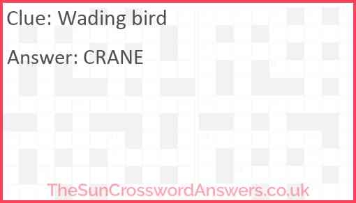 Wading Bird Crossword Clue TheSunCrosswordAnswers co uk