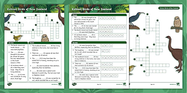 Year 3 4 Extinct New Zealand Birds Crossword Twinkl NZ Moa